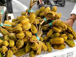 Nggak Cuma di Bedugul, Buah Salju Mulai Banyak Dijual di Kintamani