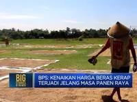 Video: Harga Pangan Kompak Melonjak di Ramadan, Pemerintah Kudu Piye?