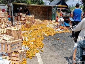 Truk Muat Jeruk di Pantura Situbondo Terguling dan Timpa Biker hingga Tewas