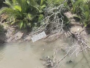 Balita Pangkalpinang yang Hanyut di Selokan Ditemukan Tewas