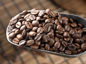 Pengusaha Kafe Belum Rasakan Dampak Kenaikan Harga Biji Kopi