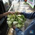 5 Tips agar Ketupat Tidak Cepat Basi dari Ahli Pangan IPB
