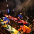 5 Tradisi Unik Lebaran di RI, dari Perang Ketupat hingga Meriam Karbit