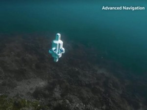 Hydrus, Drone Bawah Air Berbasis AI untuk Pelajari Terumbu Karang