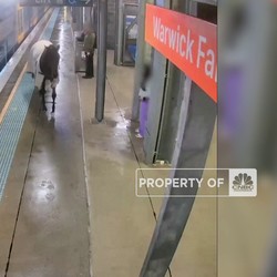 Video: Kabur Dari Kandang, Kuda Ini ''Cosplay'' Jadi Penumpang Kereta
