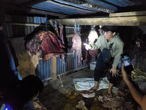 Pencuri Kuda di Jeneponto Ditembak Saat Coba Kabur, 2 Pelaku Buron