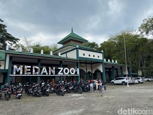 Pemkot Ungkap Pengunjung Medan Zoo Selama Lebaran Capai 2.545 Orang