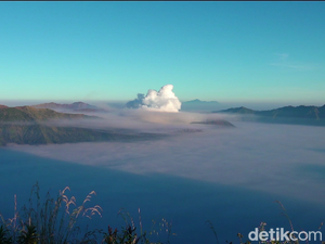 Menikmati Pesona Keindahan Puncak B29 Negeri di Atas Awan Lumajang