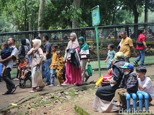 Hari Ini di Ragunan Ada 7 Anak Terpisah dari Orang Tua