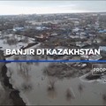 Video: Ribuan Ternak Mati Akibat Banjir di Kazakhstan