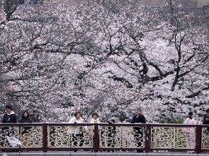 Dampak Besar Turis China untuk Pariwisata Jepang