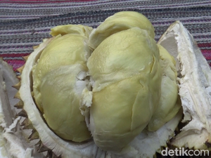 Nikmatnya Durian Mentega Khas Lereng Gunung Semeru, Manis Legit!