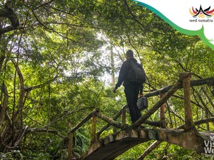 3 Rekomendasi Wisata di Pasaman, Wajib Dikunjungi!