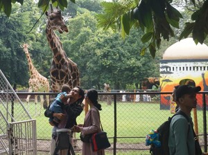 16 Ribu Wisatawan Padati KBS di H+4 Lebaran