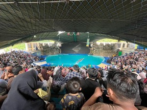 Atraksi Hewan Laut di Ancol Ramai Dikunjungi di Masa Libur Lebaran