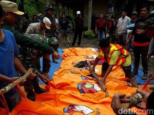 Tragis 19 Orang Sekeluarga Tertimbun Longsor di Tana Toraja hingga 15 Tewas