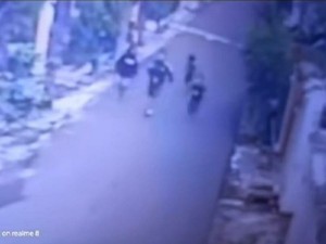 Sederet Fakta Kekejian 4 Pemuda Jember Siksa Anjing Maltese Lalu Tertawa