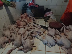 Harga Ayam Masih Mahal, Pedagang Ngaku Nombok!