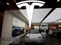 Penyebab Tesla Ambruk, Nasibnya Sudah di Ujung Tanduk