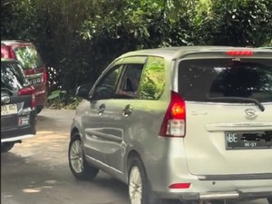 Ngeri, Pengunjung Taman Safari Buka Jendela Mobil di Kandang Singa