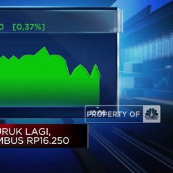 Video: Rupiah Terpuruk Lagi, Tembus Rp16.250 Per Dolar AS