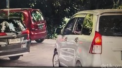 Duh! Wisatawan Nekat Buka Kaca Mobil di Area Singa Taman Safari Bogor
