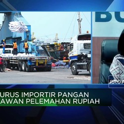 Video: Biaya Impor Naik Dampak Pelemahan Rupiah, Ini Kata Bulog