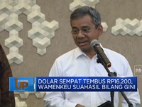 Video : Dollar Sempat Tembus Rp16.200, Wamenkeu Suahasil Bilang Gini
