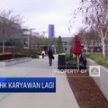 Video: Lagi! Google Berencana PHK Karyawan