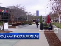 Video: Lagi! Google Berencana PHK Karyawan