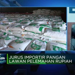 Video: Hadapi Pelemahan Rupiah, Bulog Buka Peluang Ekspor