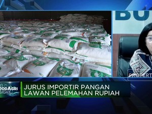 Video: Hadapi Pelemahan Rupiah, Bulog Buka Peluang Ekspor