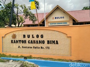 Bulog Akan Serap Jagung di Bima-Dompu, Cek Syarat dan Kuotanya!