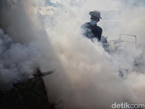 Kemenkes Buka Data, RI Cetak Rekor Terendah Kematian karena DBD