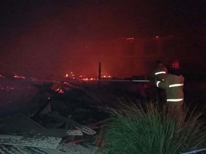 Kandang di Banyuwangi Terbakar, Puluhan Ribu Ayam Mati Terpanggang