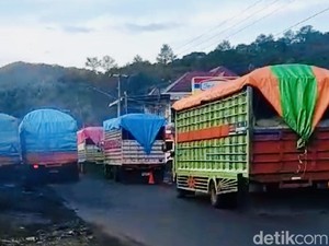 Jalan Poros Maros-Bone di Kappang Macet gegara Iring-iringan Truk Bawa Jagung