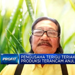 Ogah Disalahkan Pemerintah, Pengusaha Terigu Teriak Soal Aturan Impor