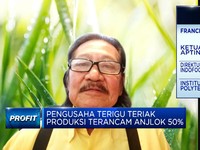 Ogah Disalahkan Pemerintah, Pengusaha Terigu Teriak Soal Aturan Impor
