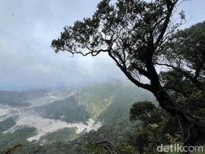 Upas Hill, Menyesap Keindahan Tangkuban Parahu Via Trek 11 Sukawana