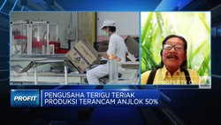 Video: Pengusaha Terigu Teriak, Aturan Impor Ancam Produksi Anjlok