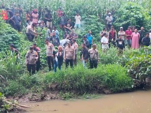 BKSDA Ungkap Buaya Sering Muncul di Sungai Palopo gegara Habitat Berkurang