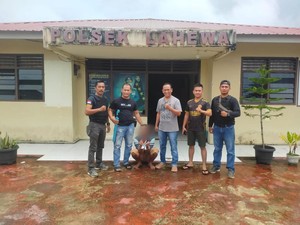 Pria yang Bacok Tetangga hingga Tewas di Nias Utara Menyerahkan Diri