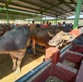 Ilmuwan Teriak Kiamat, Ramai-ramai Kritik PBB