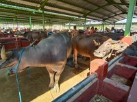 Ilmuwan Teriak Kiamat, Ramai-ramai Kritik PBB