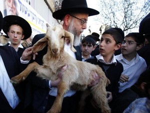 Ekstremis Yahudi Bikin Sayembara Kurban Paskah di Masjid Al Aqsa