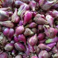 Emak-Emak di Pasar Ngamuk Harga Bawang Merah Tembus Rp 80.000/Kg