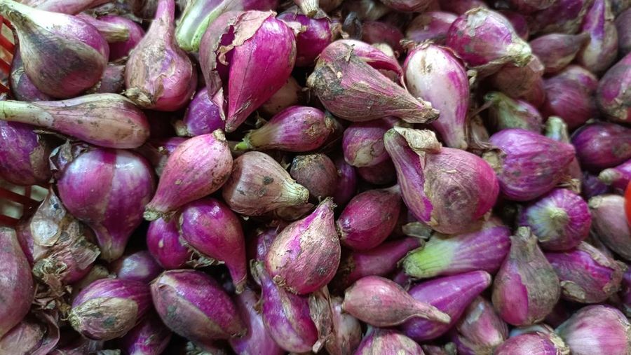 Bawang Merah. (CNBC Indonesia/Martyasari Rizki)