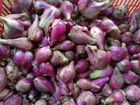 Emak-Emak di Pasar Ngamuk Harga Bawang Merah Tembus Rp 80.000/Kg
