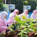 Lewat Pemberdayaan, BRI Bikin Wanita RI Makin Tangguh