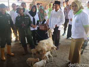 Reforma Agraria di Demak Tak Cuma soal Aset, Bupati: Ada Program Pemberdayaan